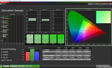 Насыщенность цвета (режим отображения Vivid, цветовая температура Warm +1, целевое цветовое пространство sRGB)