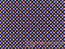 OLED-дисплей основан на субпиксельной матрице RG/BG, состоящей из одного красного, одного синего и одного зеленого светоизлучающего диода каждый