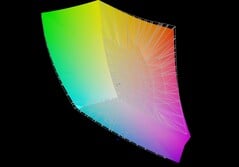 MSI Vector 16 HX AI против DCI-P3