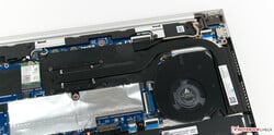 Система охлаждения у HP ProBook 440 G6